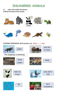 Endangered Animals English as a Second Language (ESL) exercise