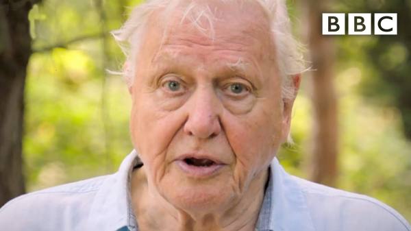 We need IMMEDIATE action to stop extinction crisis, David Attenborough - BBC - YouTube (6:00)